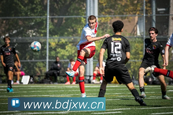 东升国际手机版下载APP 封面图